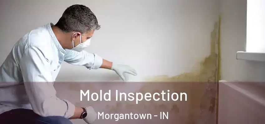  Mold Inspection Morgantown - IN