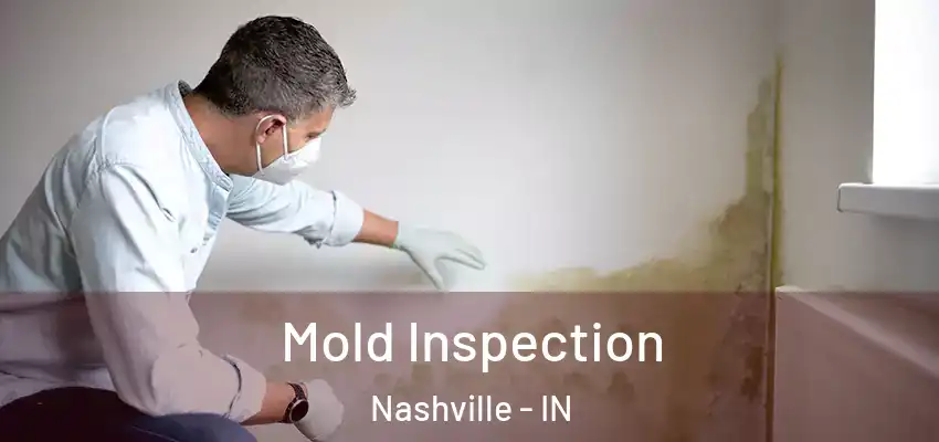  Mold Inspection Nashville - IN