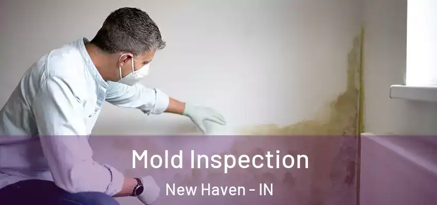  Mold Inspection New Haven - IN