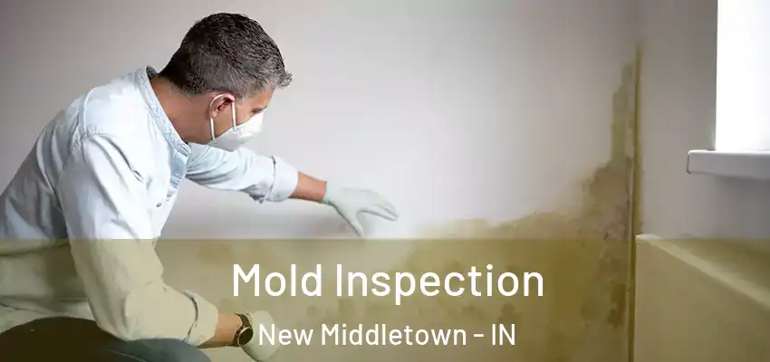  Mold Inspection New Middletown - IN