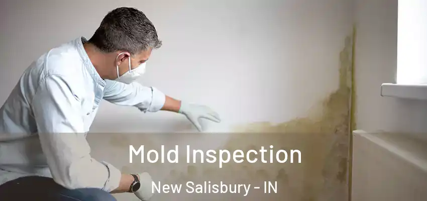  Mold Inspection New Salisbury - IN