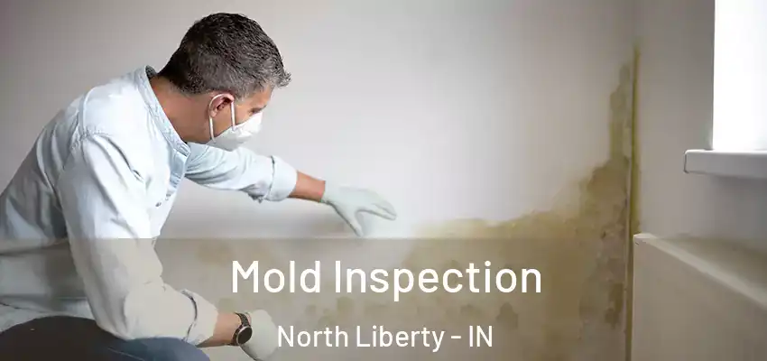  Mold Inspection North Liberty - IN
