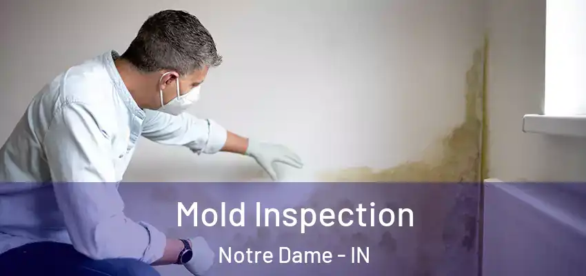  Mold Inspection Notre Dame - IN
