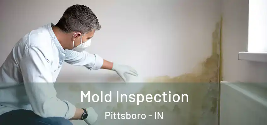Mold Inspection Pittsboro - IN