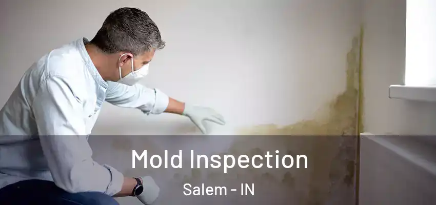  Mold Inspection Salem - IN