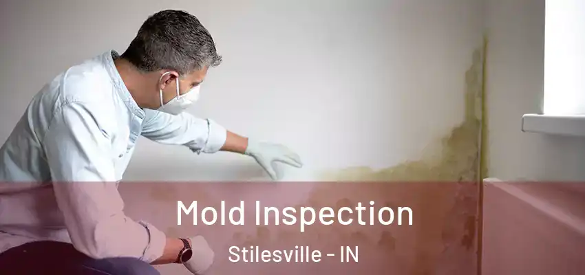  Mold Inspection Stilesville - IN