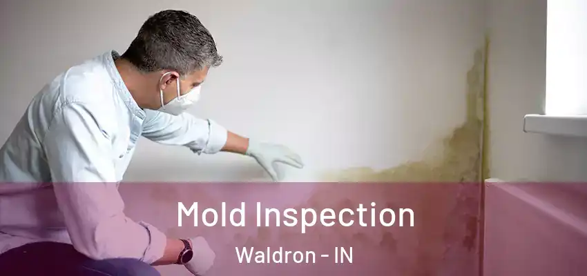 Mold Inspection Waldron - IN