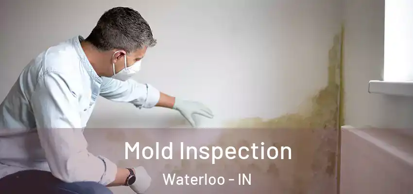 Mold Inspection Waterloo - IN