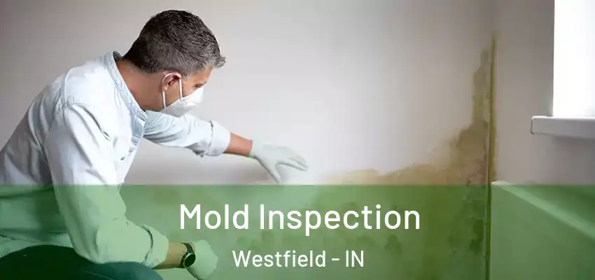 Mold Inspection Westfield - IN