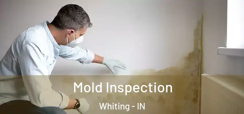  Mold Inspection Whiting - IN