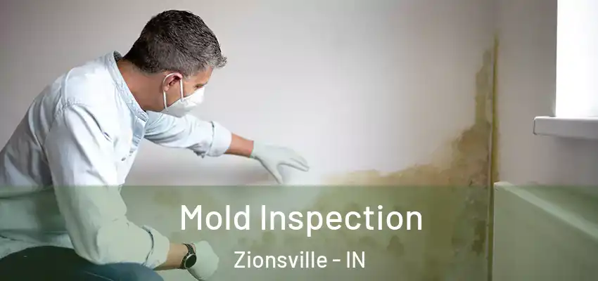  Mold Inspection Zionsville - IN