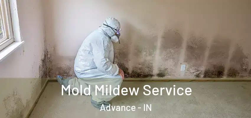 Mold Mildew Service Advance - IN