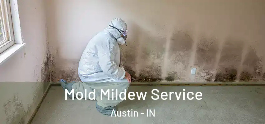Mold Mildew Service Austin - IN