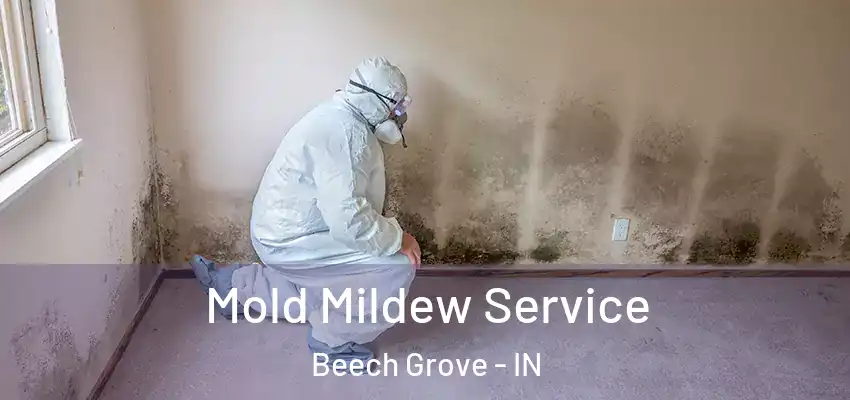 Mold Mildew Service Beech Grove - IN