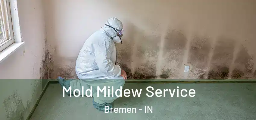  Mold Mildew Service Bremen - IN