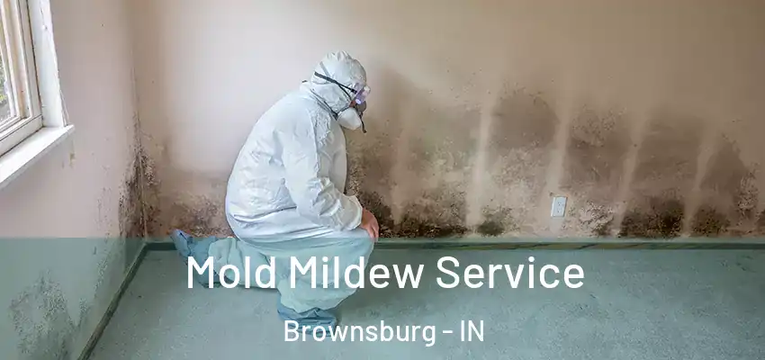  Mold Mildew Service Brownsburg - IN
