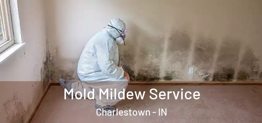 Mold Mildew Service Charlestown - IN