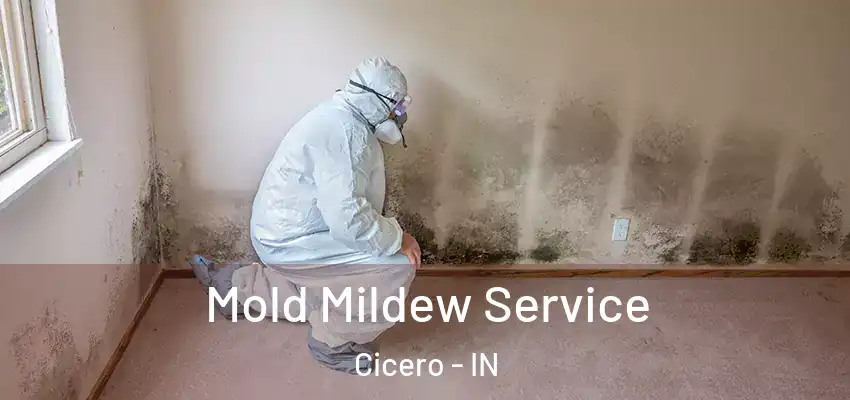  Mold Mildew Service Cicero - IN