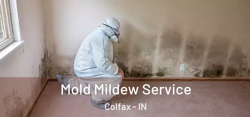  Mold Mildew Service Colfax - IN