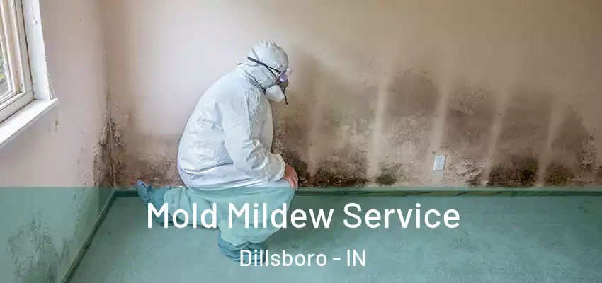  Mold Mildew Service Dillsboro - IN