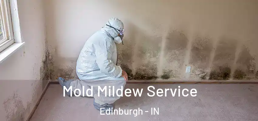  Mold Mildew Service Edinburgh - IN