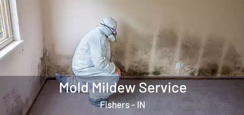  Mold Mildew Service Fishers - IN