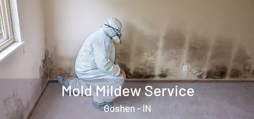  Mold Mildew Service Goshen - IN