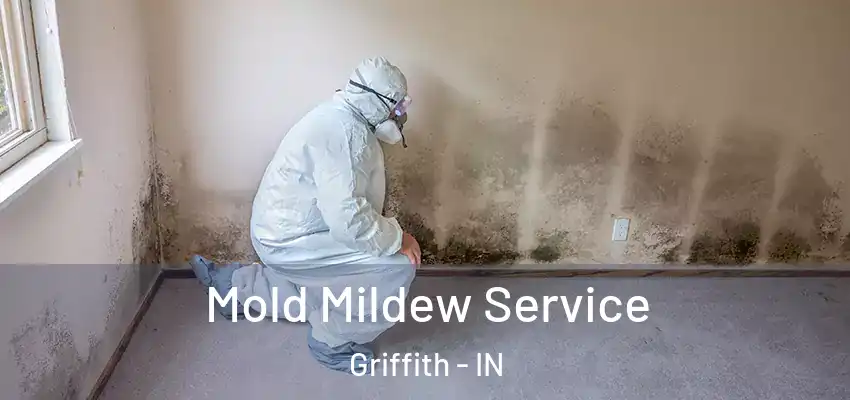  Mold Mildew Service Griffith - IN