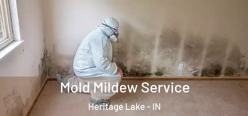  Mold Mildew Service Heritage Lake - IN