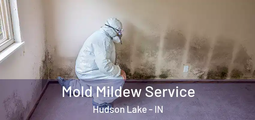  Mold Mildew Service Hudson Lake - IN