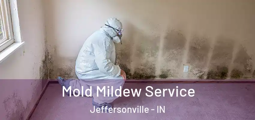 Mold Mildew Service Jeffersonville - IN