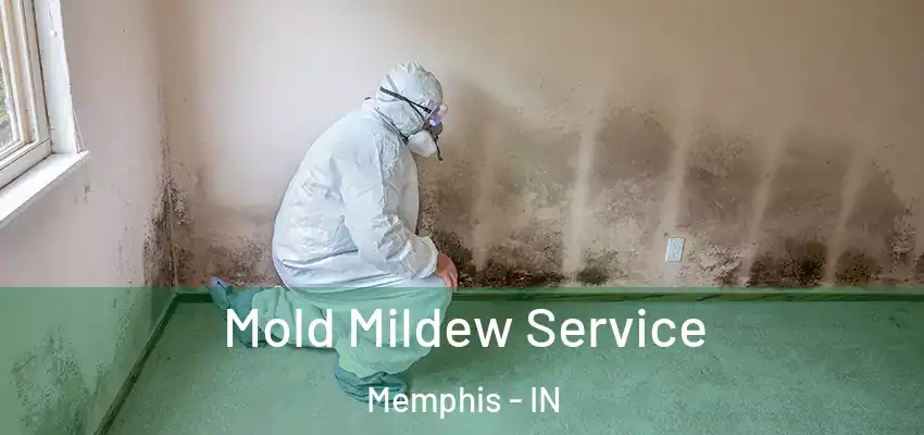  Mold Mildew Service Memphis - IN