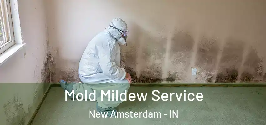 Mold Mildew Service New Amsterdam - IN