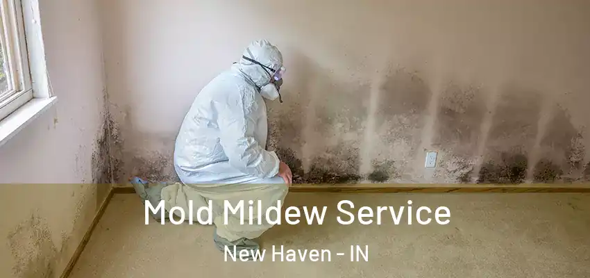  Mold Mildew Service New Haven - IN