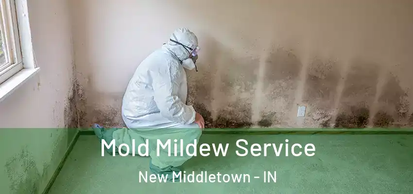  Mold Mildew Service New Middletown - IN