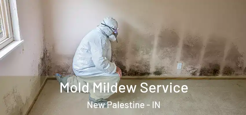 Mold Mildew Service New Palestine - IN