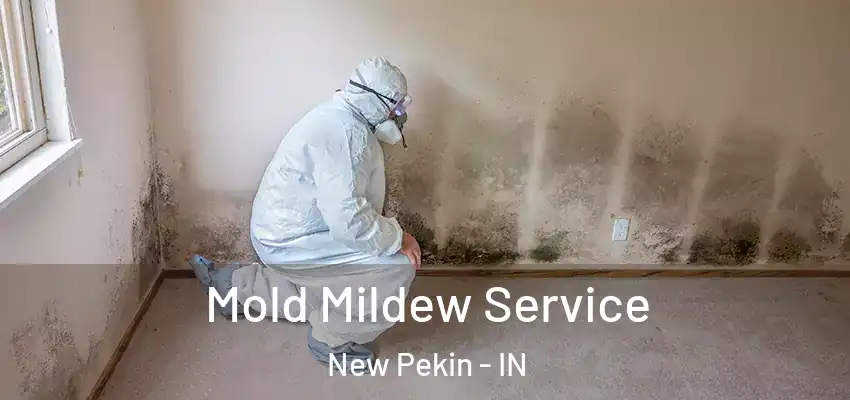  Mold Mildew Service New Pekin - IN