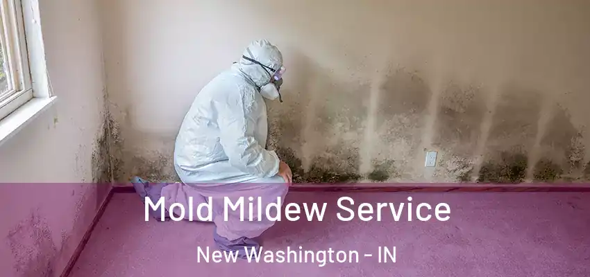  Mold Mildew Service New Washington - IN