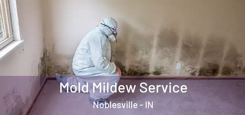  Mold Mildew Service Noblesville - IN