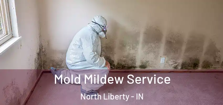  Mold Mildew Service North Liberty - IN