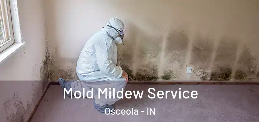  Mold Mildew Service Osceola - IN