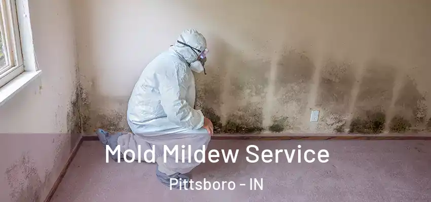  Mold Mildew Service Pittsboro - IN