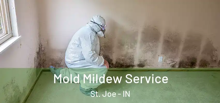  Mold Mildew Service St. Joe - IN