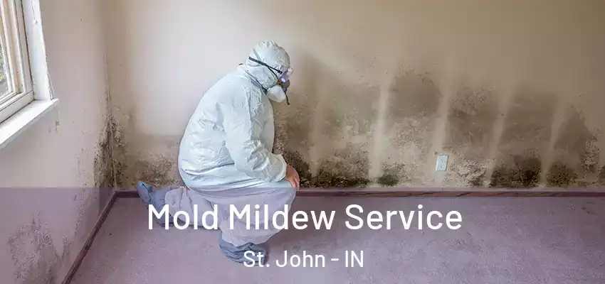  Mold Mildew Service St. John - IN