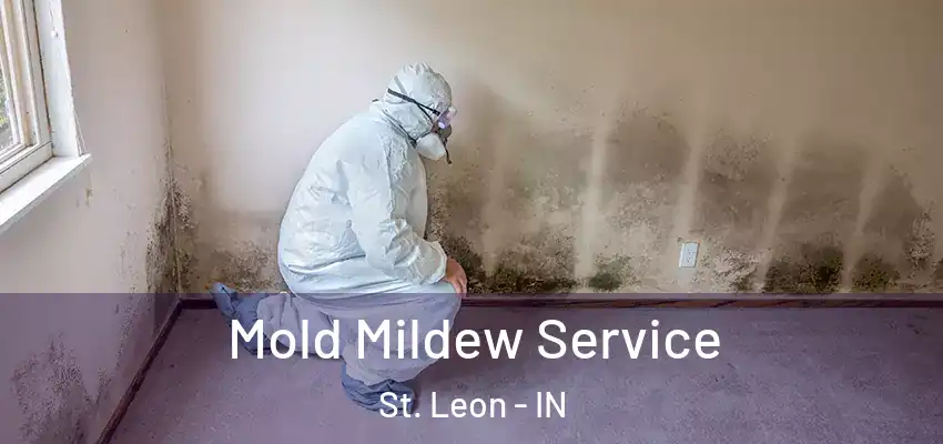  Mold Mildew Service St. Leon - IN