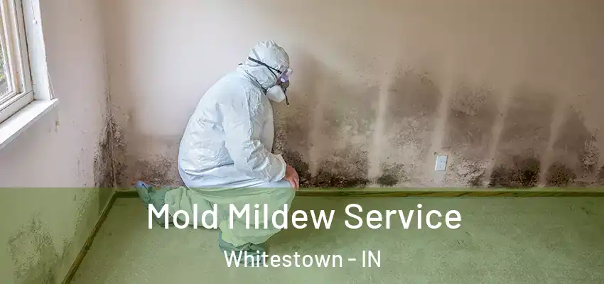  Mold Mildew Service Whitestown - IN