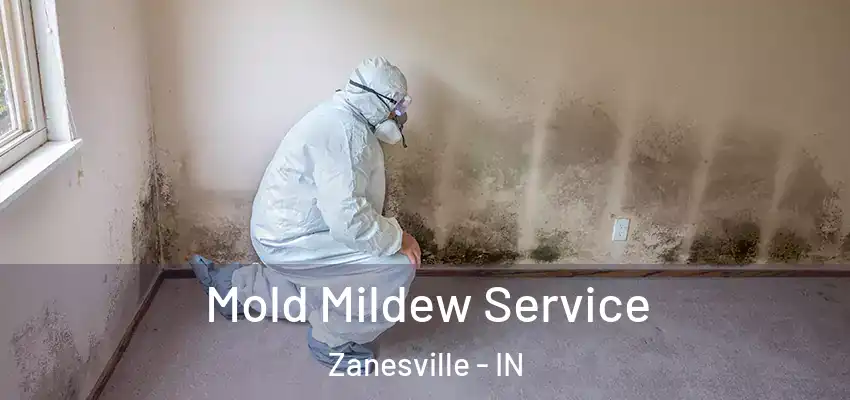 Mold Mildew Service Zanesville - IN