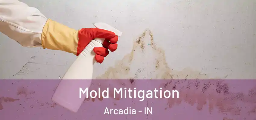 Mold Mitigation Arcadia - IN
