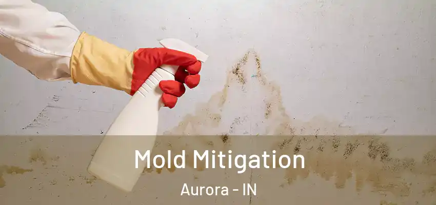 Mold Mitigation Aurora - IN