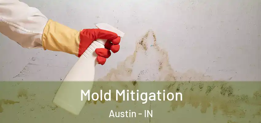 Mold Mitigation Austin - IN